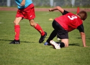 ac米兰体育官网-阿尔艾因锋线火力全开，防守压力山大